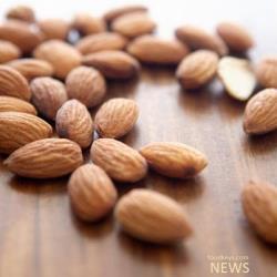 پیش بینی ثبات قیمت آجیل تا پایان سال پیش بینی ثبات قیمت آجیل تا پایان سال