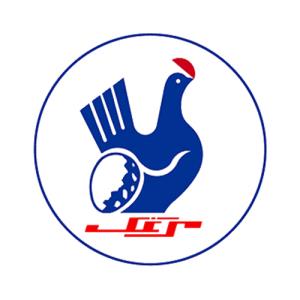 لوگوی شرکت مرغک