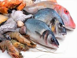 تخصیص ارز به واردات تن ماهیان در اولویت قرار گیرد