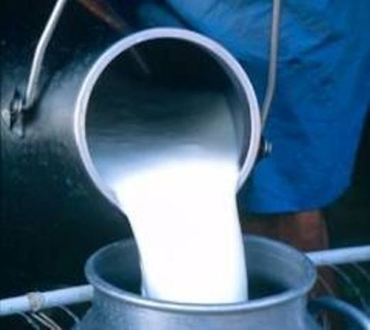 لبنیات و گوشت سنتی نخرید!
