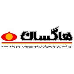 لوگوی شرکت هاگسان