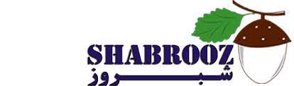 لوگوی شرکت آذین ماهان آویسا(شبروز)