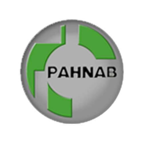 لوگوی شرکت انرژی بخار صنعت
