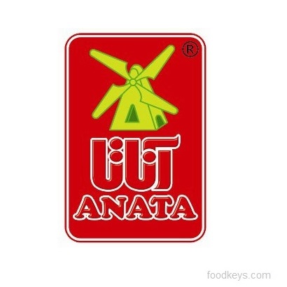 لوگوی شرکت گروه صنعتی نجاتی( آناتا)