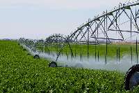 کاهش مصرف آب با حسگرهای هوشمند کشاورزی