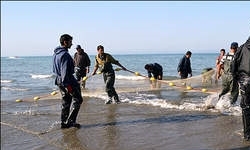 کاهش 10 درصدی صید ماهیان استخوانی دریای خزر در گیلان