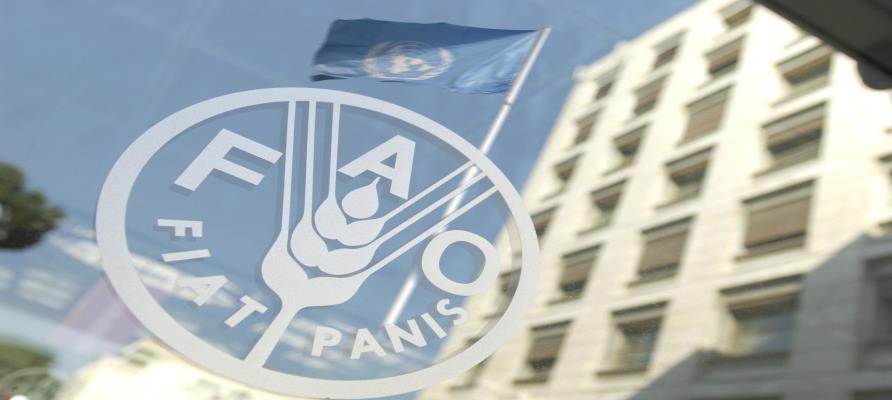 قیمت جهانی مواد غذایی بالا رفت