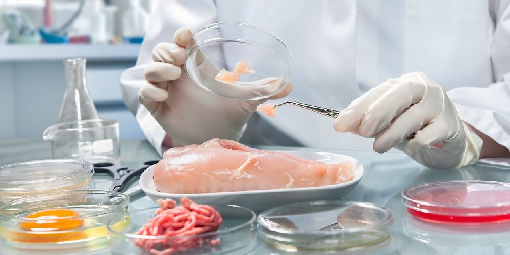 آغاز پایش مستقیم و تخصصی واحدهای تولید مواد غذایی آماده