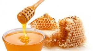 نماینده  فائو : ایران از کشورهای پیشرو در تولید عسل است