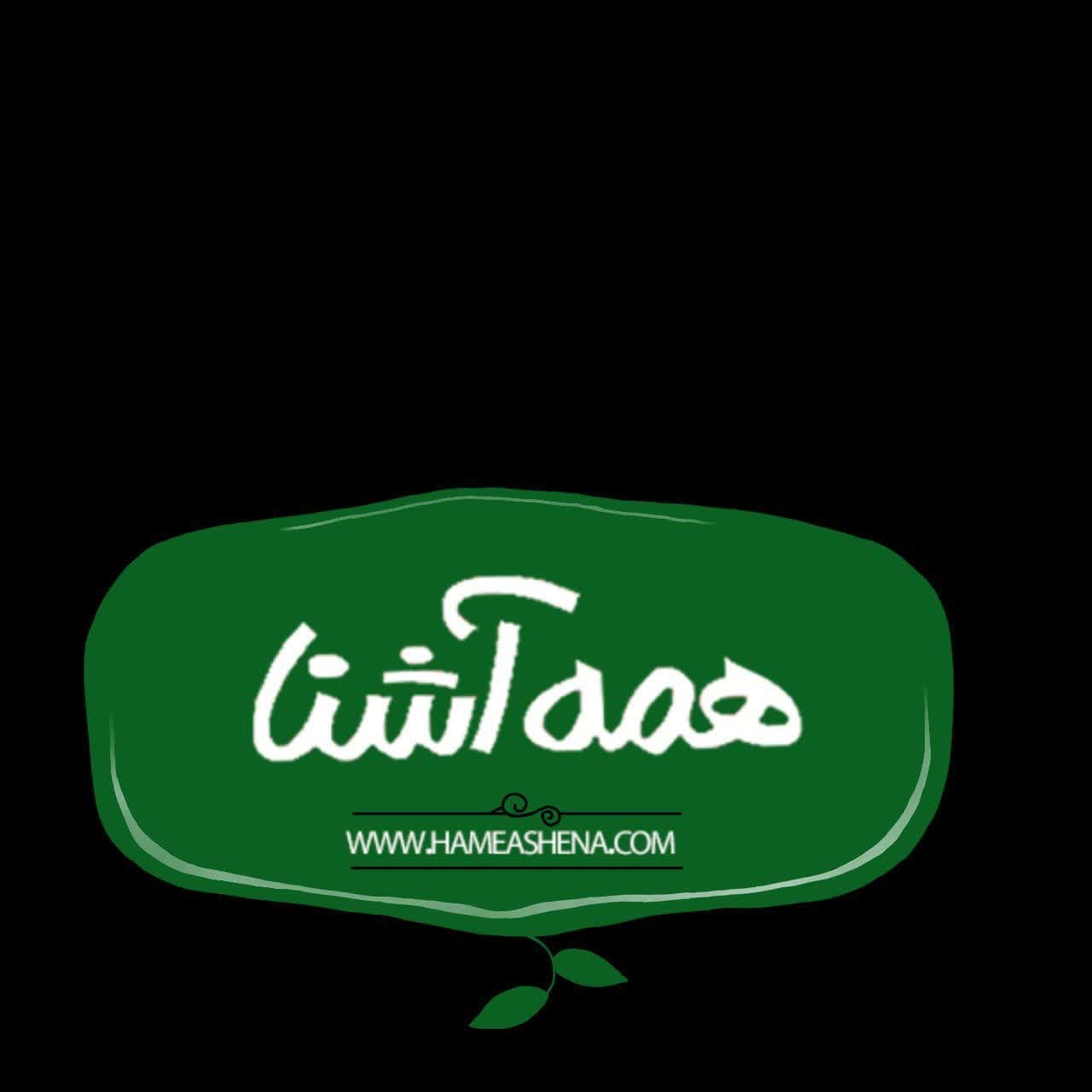 لوگوی شرکت همه آشنا