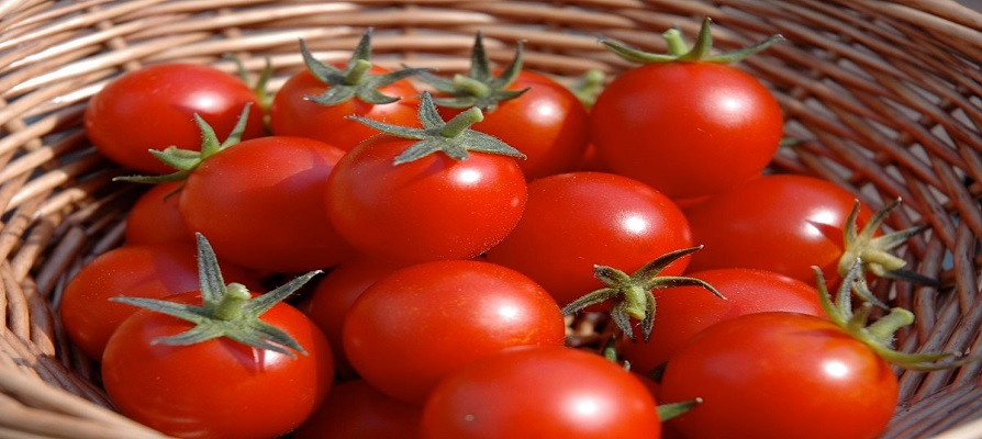 کاهش تعرفه صادرات پیاز و گوجه فرنگی راهی برای تنظیم بازار