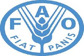 فائو: قیمت جهانی مواد غذایی افزایش یافت