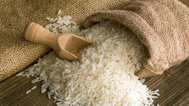 لغو ممنوعیت واردات برنج در فصل برداشت مانعی ندارد/ واردات برنج بر مبنای نیاز داخل