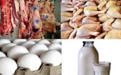 بازار مصرف با تثبیت نرخ 5 گروه کالای اساسی به استقبال نوروز رفت