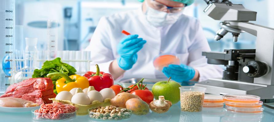 تولید پاکت‌ های بسته‌ بندی مواد غذایی بدون نیاز به مواد نگهدارنده