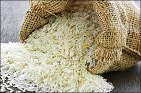 آغاز ورود برنج نوبرانه مازندران به بازار