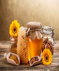 سالانه ۳۵۰ تن عسل از استان اردبیل صادر می شود