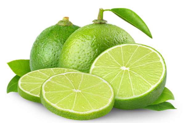 معرفی ۴ نوع لیمو ترش مقاوم به آفت جاروک در آینده نزدیک