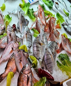 تولید1150تن ماهی پرورشی در استان هرمزگان