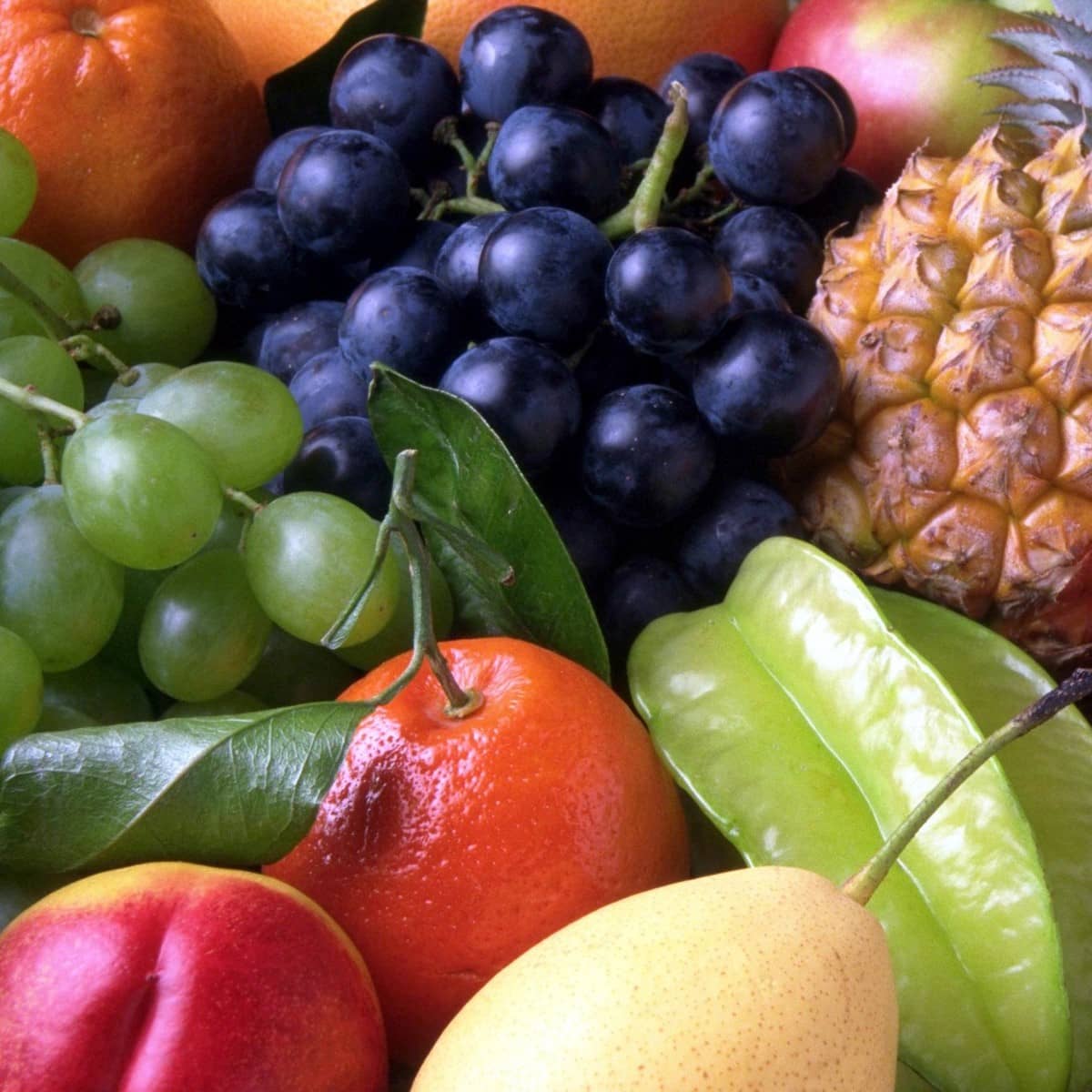درخواست لغو فوری صادرات میوه