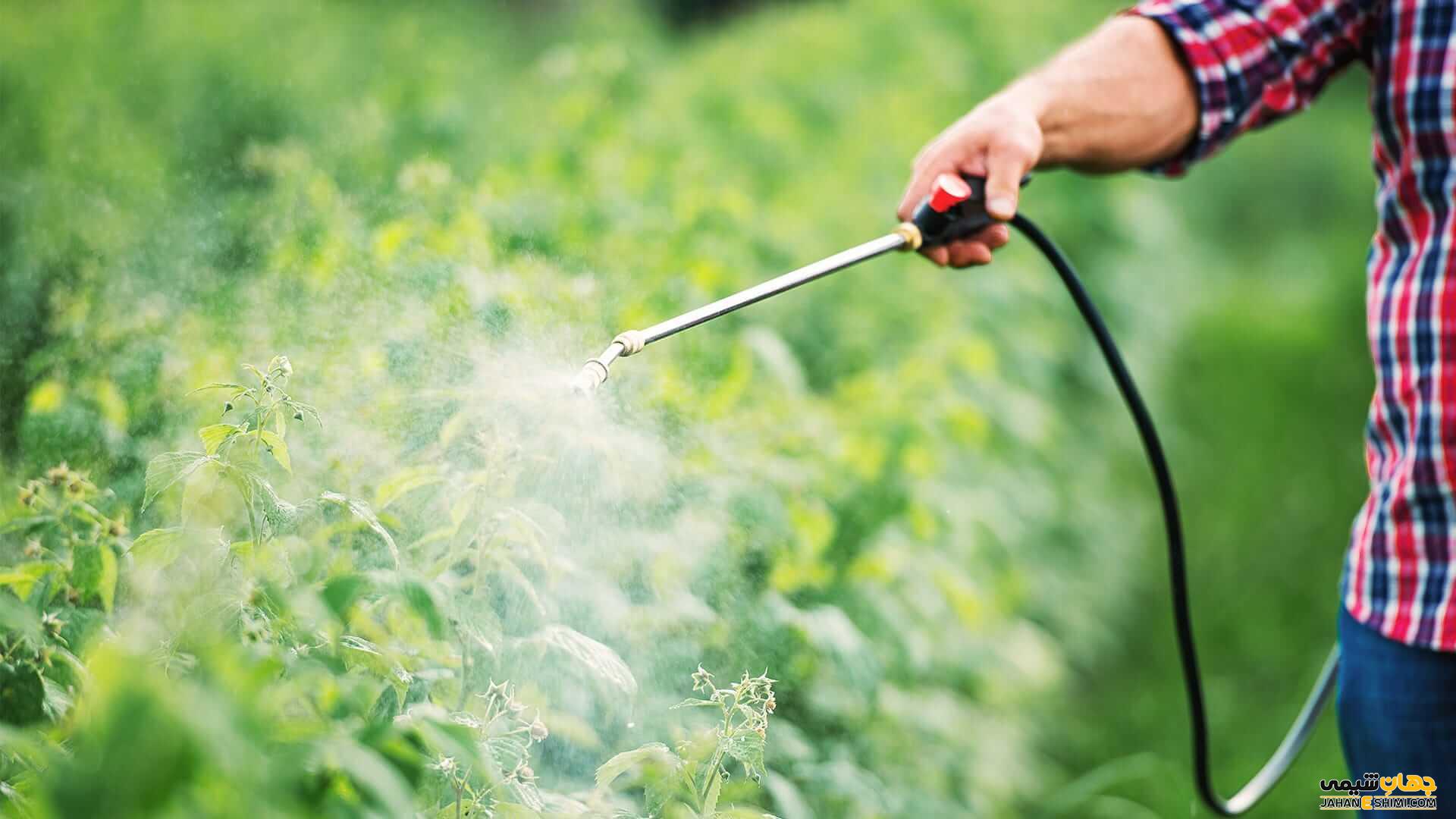 استاندارد حدود مجاز باقی‌مانده آفت‌کش‌ها برای ارتقای ایمنی مواد غذایی