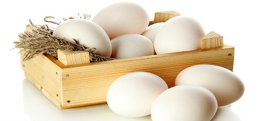 پتانسیل صادرات ۲۵۰ هزار تن تخم مرغ در کشور