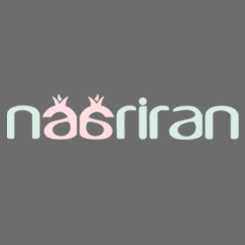 لوگوی شرکت نار ایران