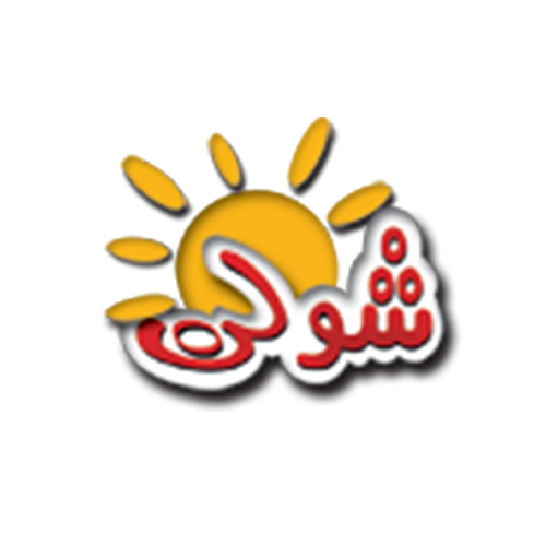لوگوی شرکت شولن