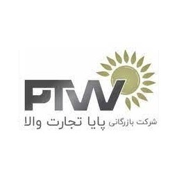 لوگوی شرکت پایا تجارت والا