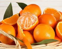 ایران ممنوعیت واردات نارنگی از پاکستان را به مدت 50 روز لغو کرد