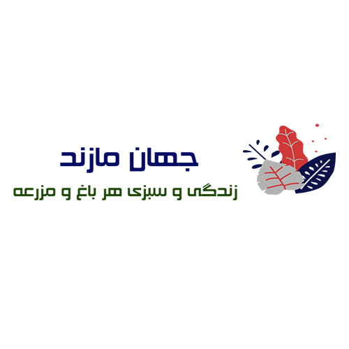 لوگوی جهان مازند