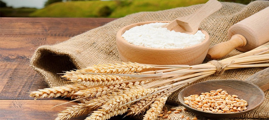 خرید تضمینی گندم به ۲ میلیون و ۹۵۰ هزار تن رسید