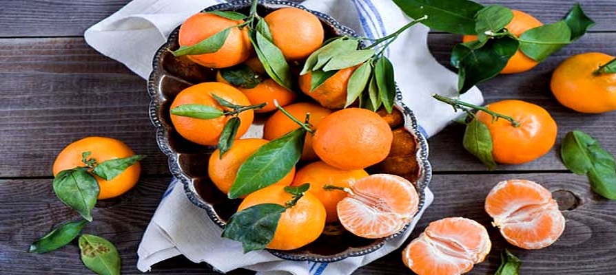 پیش‌ بینی برداشت 430 هزار تن نارنگی در مازندران