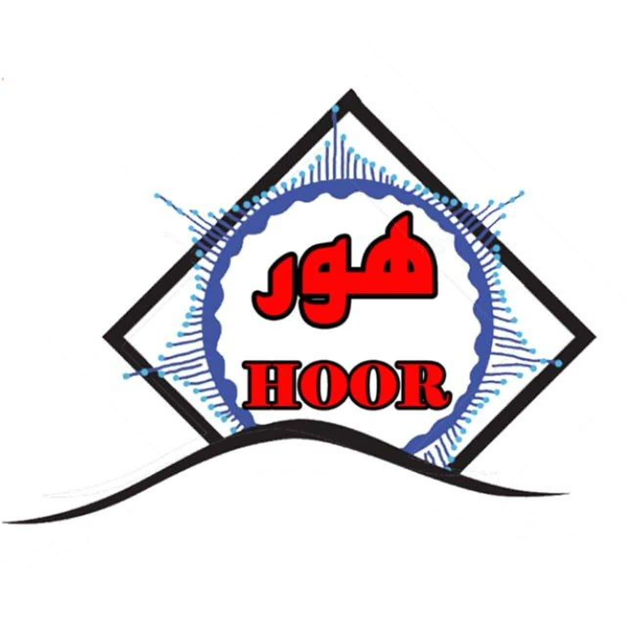پخش مواد غذایی هور