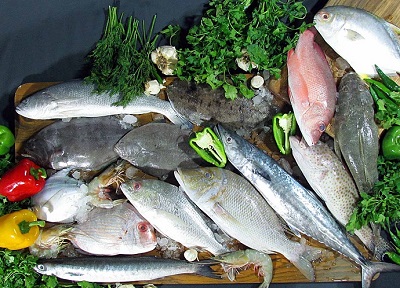 گونه‌های جدید ماهی به صنعت آبزی پروری معرفی شدند