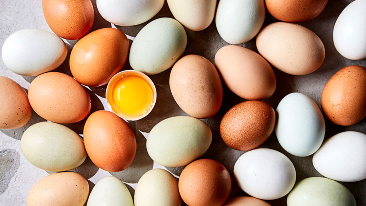 ارزآوری ۴۰ میلیون دلاری از صادرات تخم مرغ