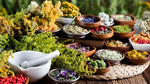 برداشت‌های غیر اصولی و تغییر اقلیم، تهدید پایداری گیاهان دارویی ایران