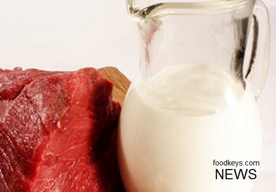 مصرف گوشت قرمز خطری ندارد؛ شیر فله‌ای نخورید