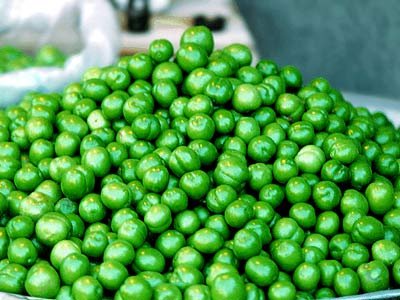 نوبرانه‌ ها در سراشیبی کاهش قیمت/ گوجه سبز کیلویی ۱۳۰ هزار تومان