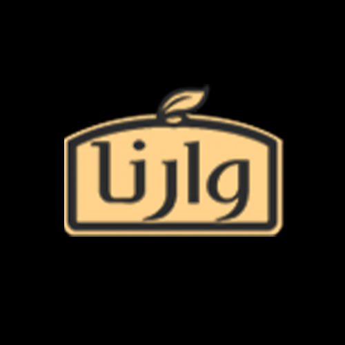 لوگوی شرکت زیست آنزیم شیمی