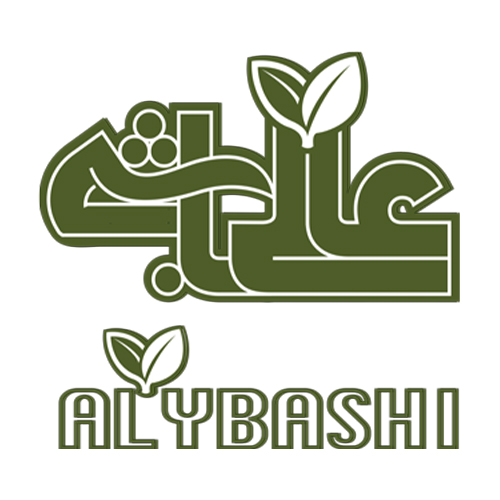 لوگوی شرکت هونام صنعت زرین