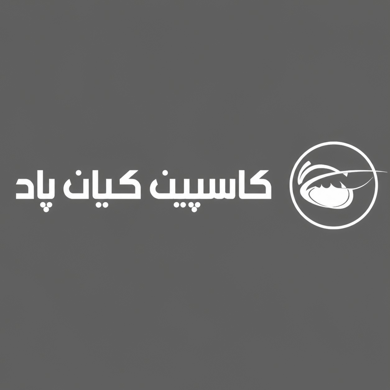 لوگوی شرکت کاسپین کیان پاد