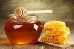 تولید بیش از 600 تن عسل در ملایر