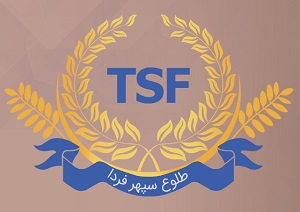 لوگوی شرکت طلوع سپهر فردا