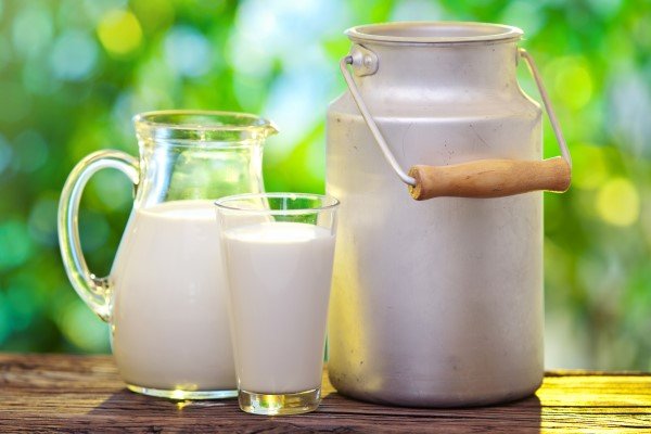 افزایش نرخ شیر خام منطقی نیست/نرخ منطقی هر کیلو شیر خام چقدر است؟