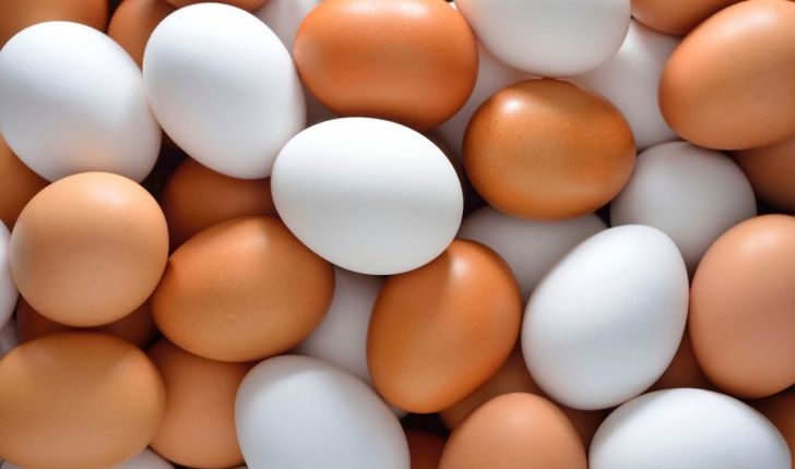 تولید تخم مرغ به مرز یک میلیون تن رسید