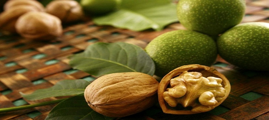 خرید و فروش گردوی سبز در بروجرد ممنوع شد