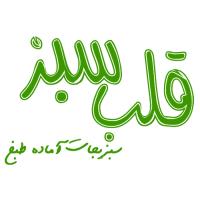 لوگوی گروه مواد غذایی قلب سبز