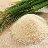احتمال حذف ارز ۴۲۰۰ تومانی واردات برنج/واردات ۷۵درصد برنج کشور از هند