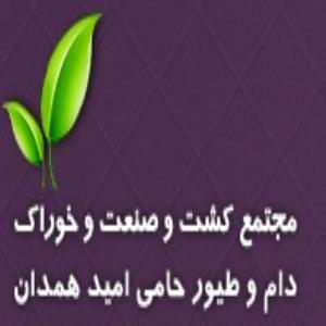 لوگوی شرکت کشت و صنعت حامی امید همدان